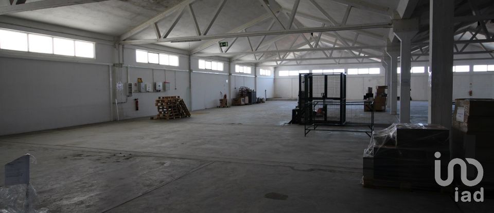Hangar à Beja (Salvador e Santa Maria da Feira) de 3 348 m²
