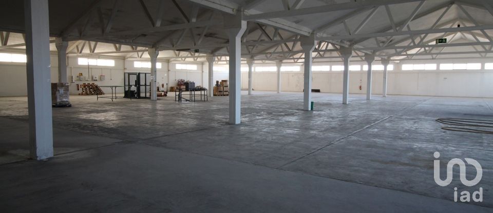 Hangar à Beja (Salvador e Santa Maria da Feira) de 3 348 m²