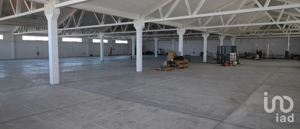 Hangar à Beja (Salvador e Santa Maria da Feira) de 3 348 m²