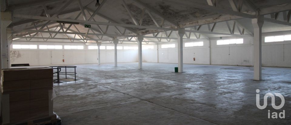 Hangar à Beja (Salvador e Santa Maria da Feira) de 3 348 m²