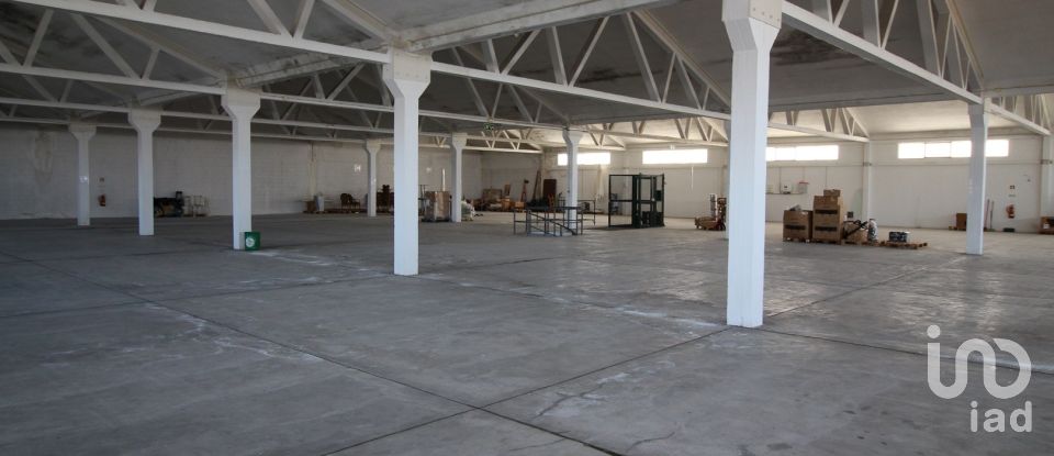 Hangar à Beja (Salvador e Santa Maria da Feira) de 3 348 m²