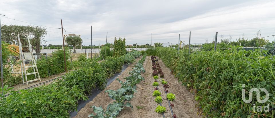 Farm T4 in Palmela of 147 m²