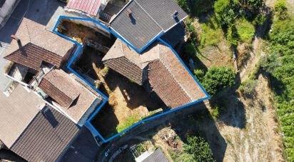 Gîte T3 à Ribafeita de 210 m²