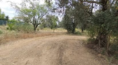 Land in Loulé (São Clemente) of 997 m²