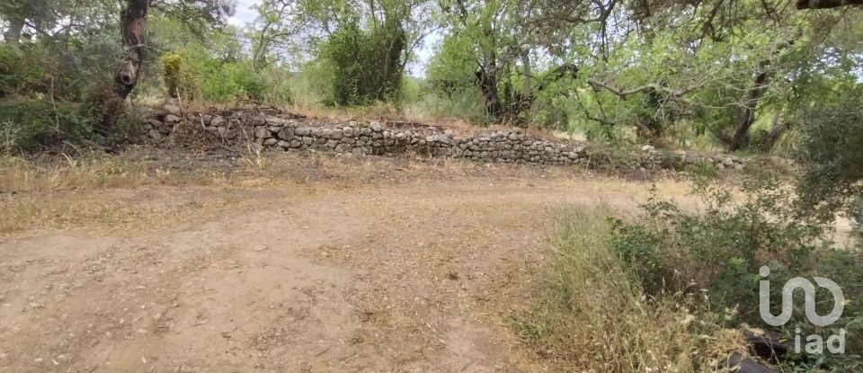 Land in Loulé (São Clemente) of 997 m²