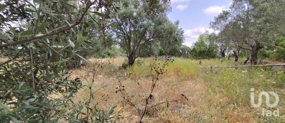 Land in Loulé (São Clemente) of 997 m²