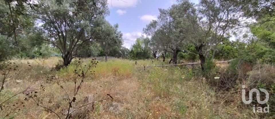 Land in Loulé (São Clemente) of 997 m²
