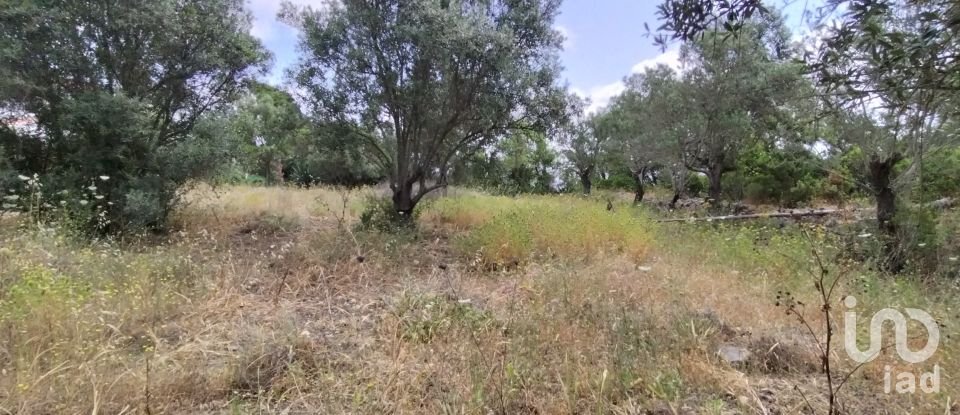 Land in Loulé (São Clemente) of 997 m²