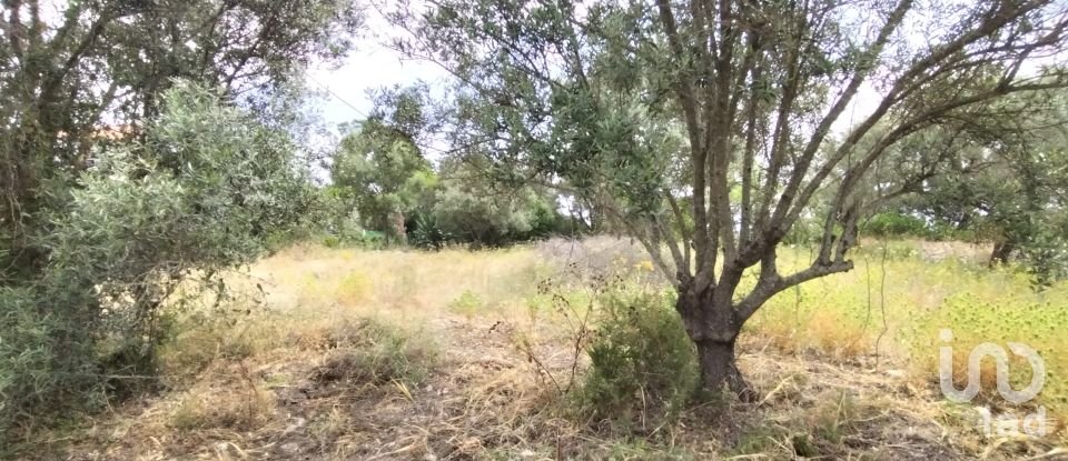 Land in Loulé (São Clemente) of 997 m²