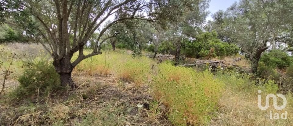 Land in Loulé (São Clemente) of 997 m²