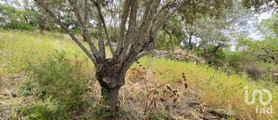 Land in Loulé (São Clemente) of 997 m²