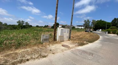 Terrain à Cadaval e Pêro Moniz de 11 320 m²