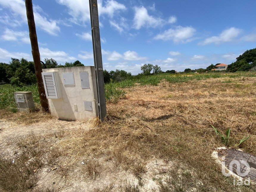 Land in Cadaval e Pêro Moniz of 11,320 m²