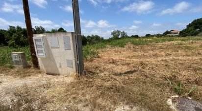 Terrain à Cadaval e Pêro Moniz de 11 320 m²