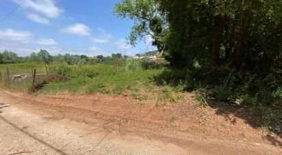 Terrain à Cadaval e Pêro Moniz de 11 320 m²