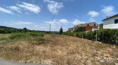 Terrain à Cadaval e Pêro Moniz de 11 320 m²