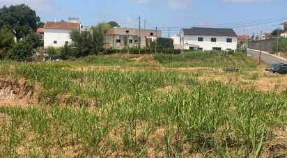 Terrain à Cadaval e Pêro Moniz de 11 320 m²