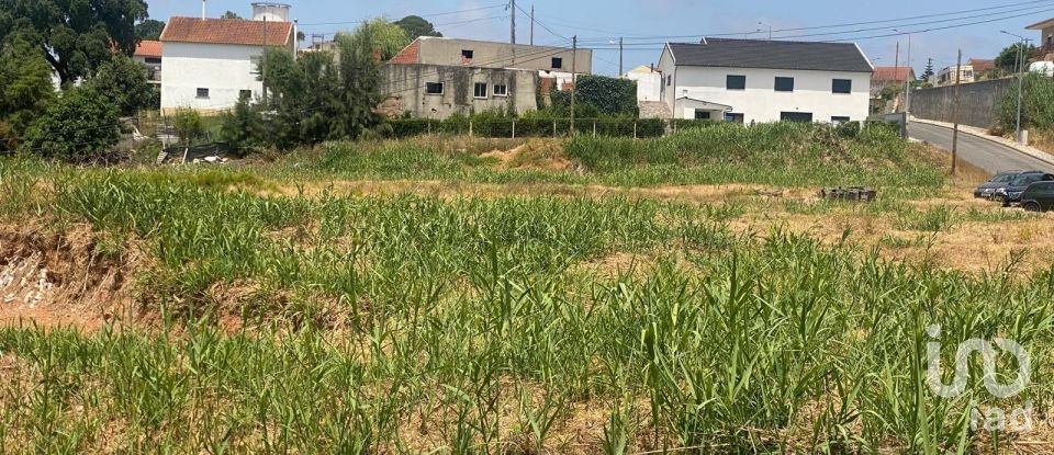 Land in Cadaval e Pêro Moniz of 11,320 m²