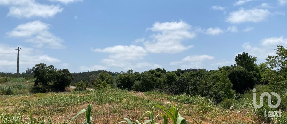 Land in Cadaval e Pêro Moniz of 11,320 m²