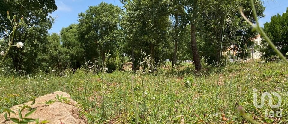 Land in Cadaval e Pêro Moniz of 11,320 m²