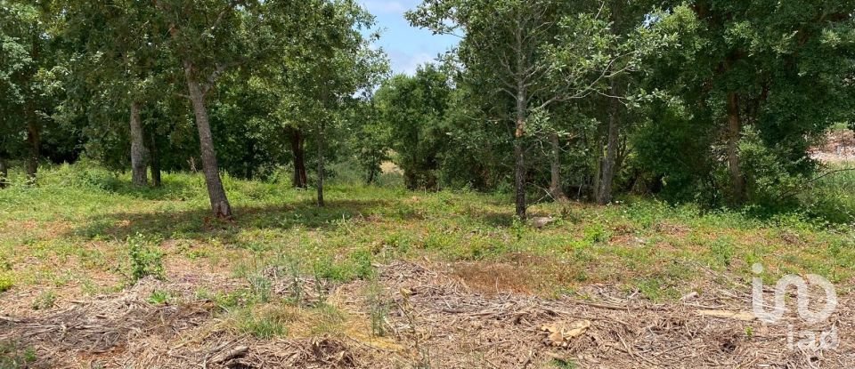 Land in Cadaval e Pêro Moniz of 11,320 m²