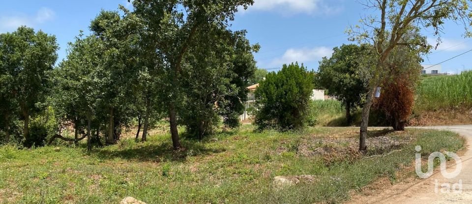 Land in Cadaval e Pêro Moniz of 11,320 m²