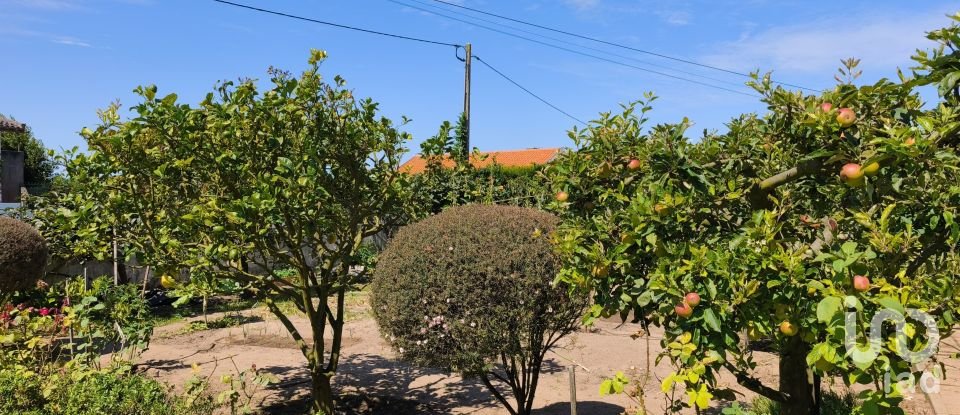 Maison T3 à Torreira de 282 m²