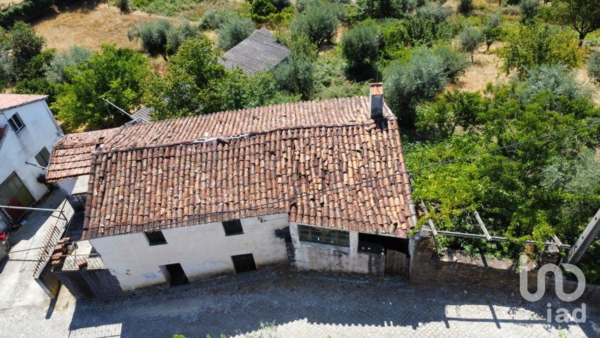 Maison T2 à Troviscal de 202 m²