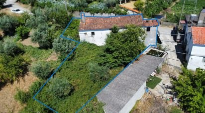 Maison T2 à Troviscal de 202 m²