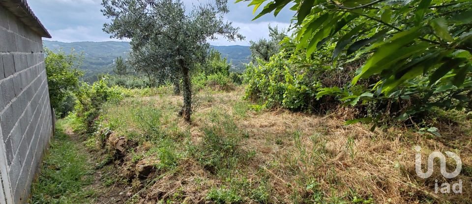 Maison T2 à Troviscal de 202 m²