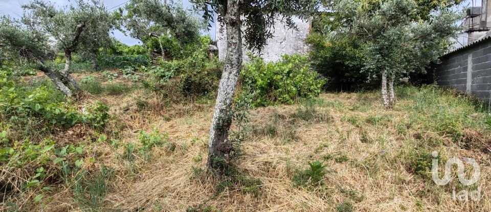 Maison T2 à Troviscal de 202 m²