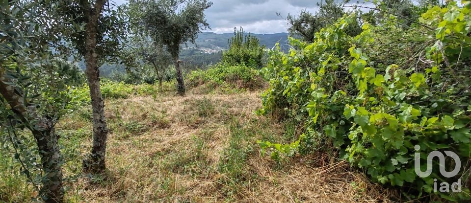 Maison T2 à Troviscal de 202 m²