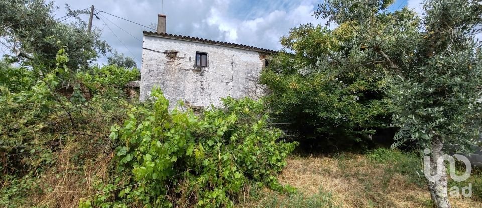 Maison T2 à Troviscal de 202 m²