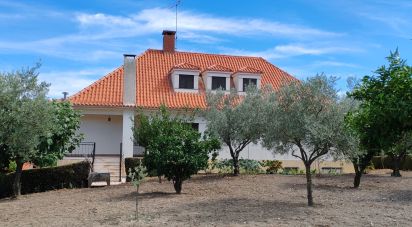 Maison T6 à Proença-a-Nova e Peral de 461 m²