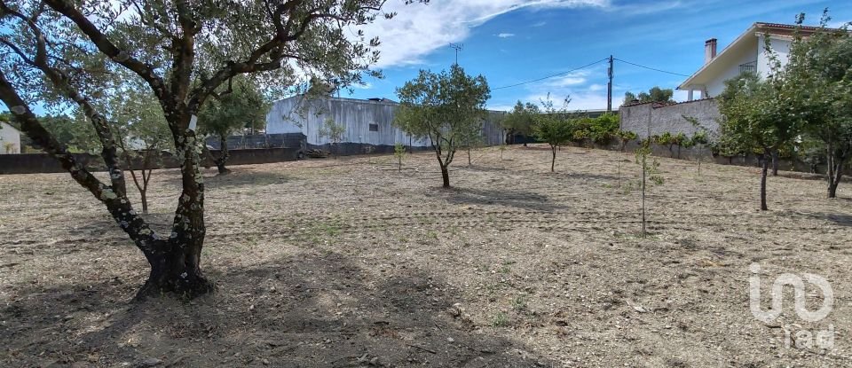 Moradia T6 em Proença-a-Nova e Peral de 461 m²