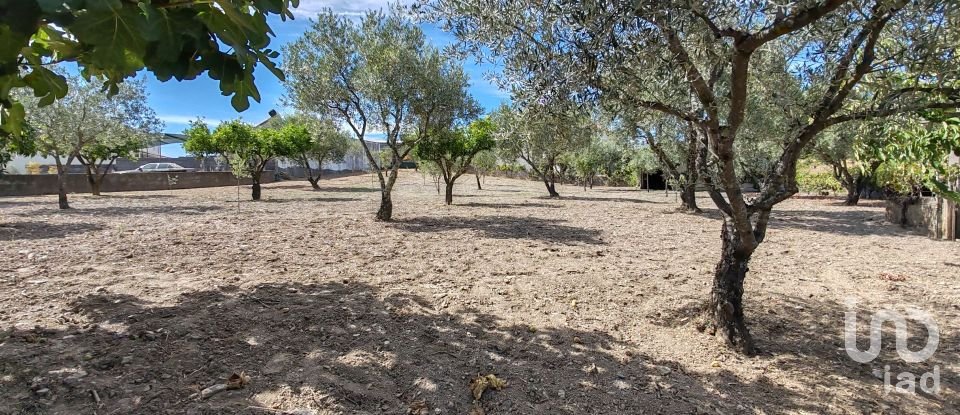 Moradia T6 em Proença-a-Nova e Peral de 461 m²