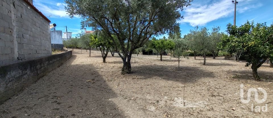 Moradia T6 em Proença-a-Nova e Peral de 461 m²