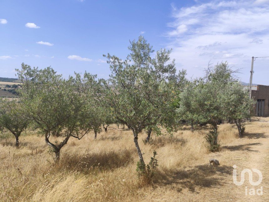 Gîte T2 à Castelo Branco de 144 m²