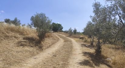 Gîte T2 à Castelo Branco de 144 m²