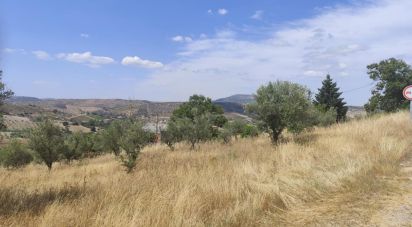 Gîte T2 à Castelo Branco de 144 m²