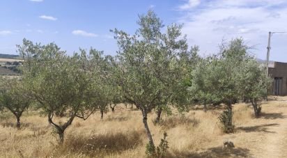 Gîte T2 à Castelo Branco de 144 m²