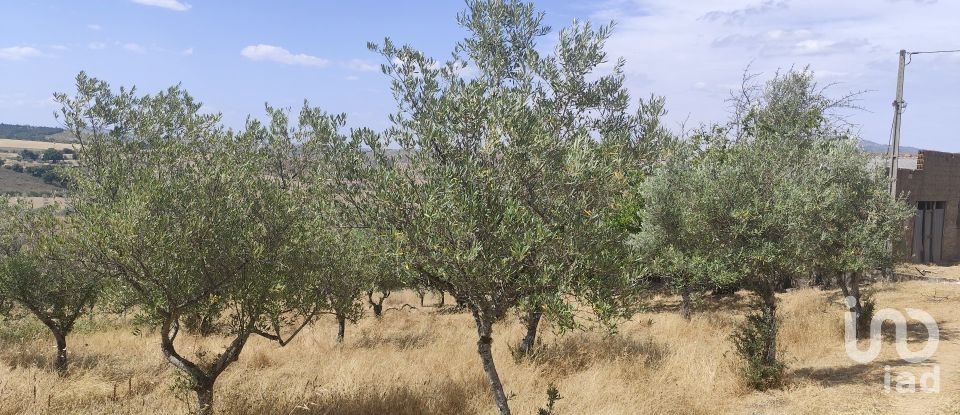 Gîte T2 à Castelo Branco de 144 m²