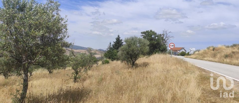 Gîte T2 à Castelo Branco de 144 m²