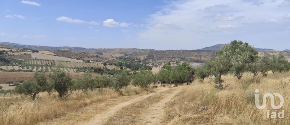 Gîte T2 à Castelo Branco de 144 m²