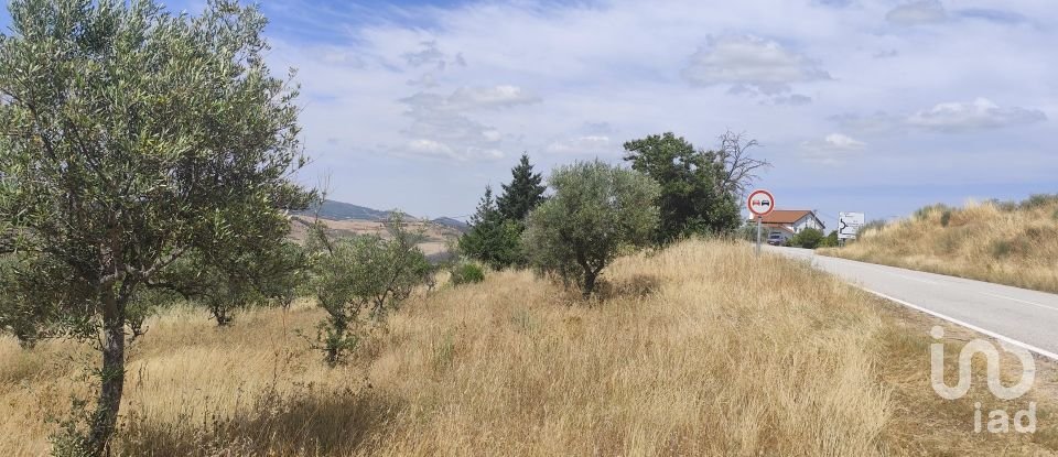 Gîte T2 à Castelo Branco de 144 m²