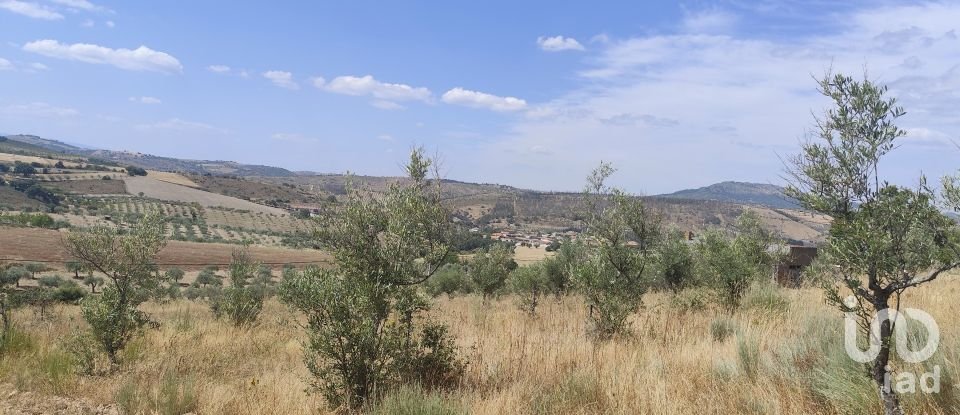 Gîte T2 à Castelo Branco de 144 m²