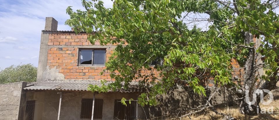 Gîte T2 à Castelo Branco de 144 m²