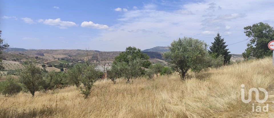 Gîte T2 à Castelo Branco de 144 m²