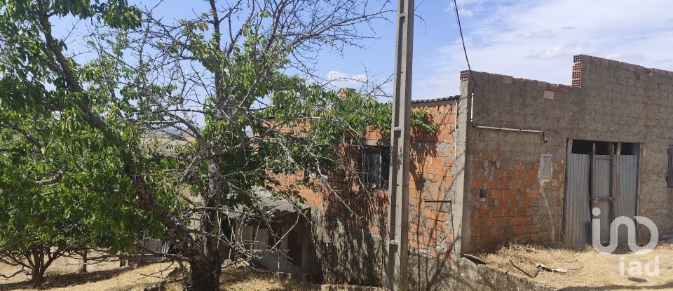 Gîte T2 à Castelo Branco de 144 m²