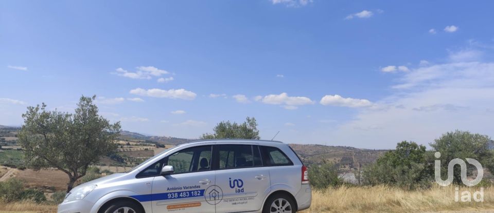 Gîte T2 à Castelo Branco de 144 m²